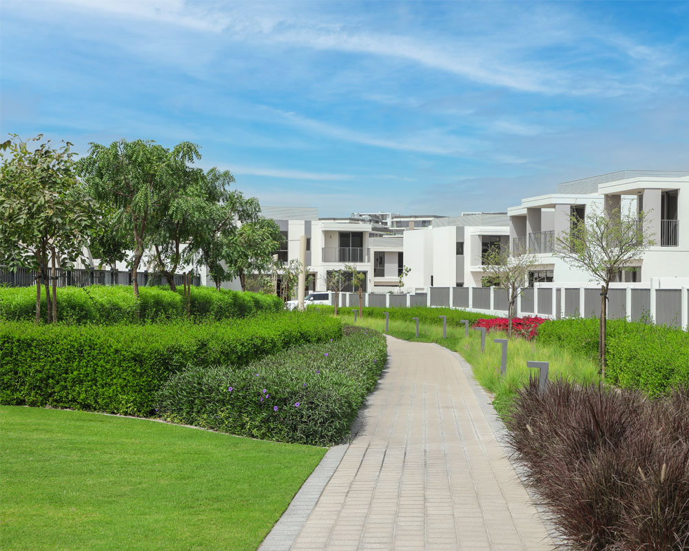 Gated Community Landscape by Desert Landscape