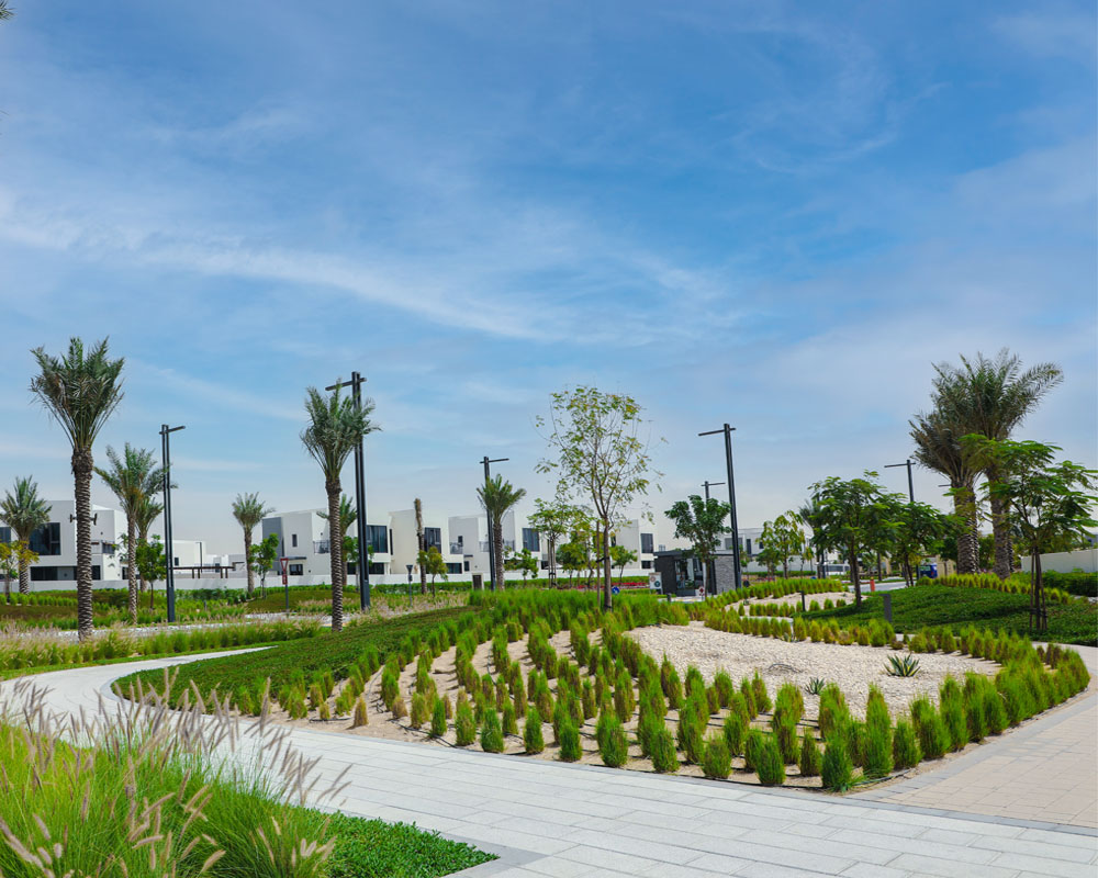 Gated Community Landscape by Desert Landscape