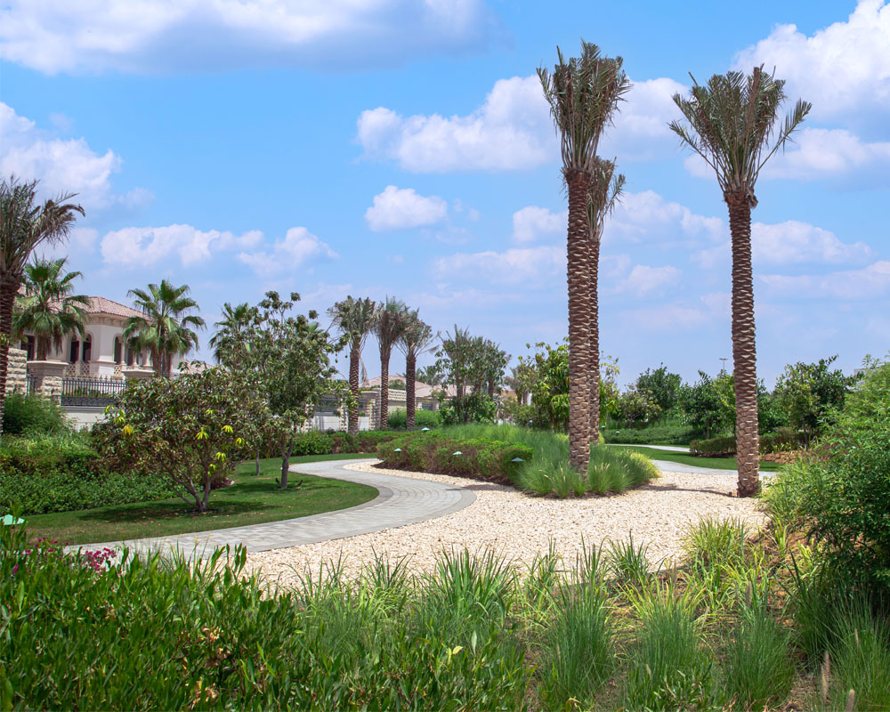 Soft Landscaping by Desert Landscape