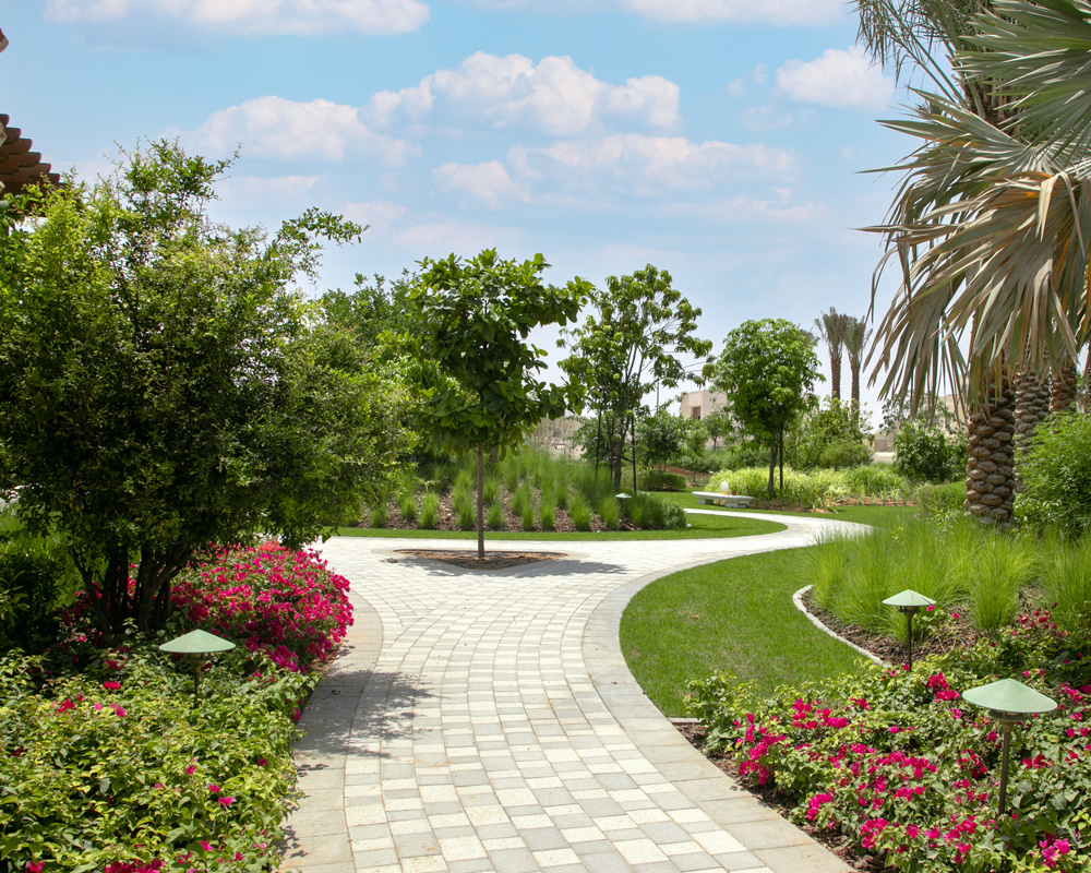 Soft Landscaping by Desert Landscape