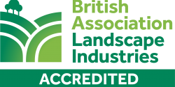 BALI Accredited primary logo BALI Accredited primary logo